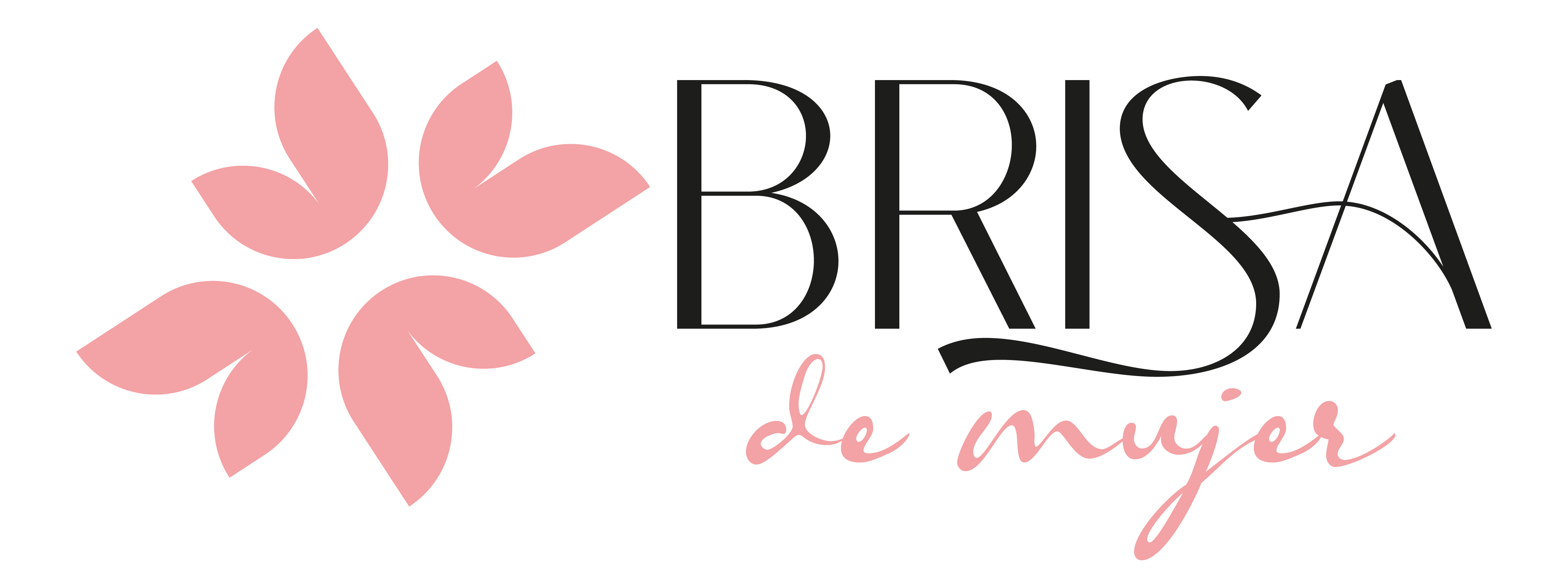 Logo BRISA