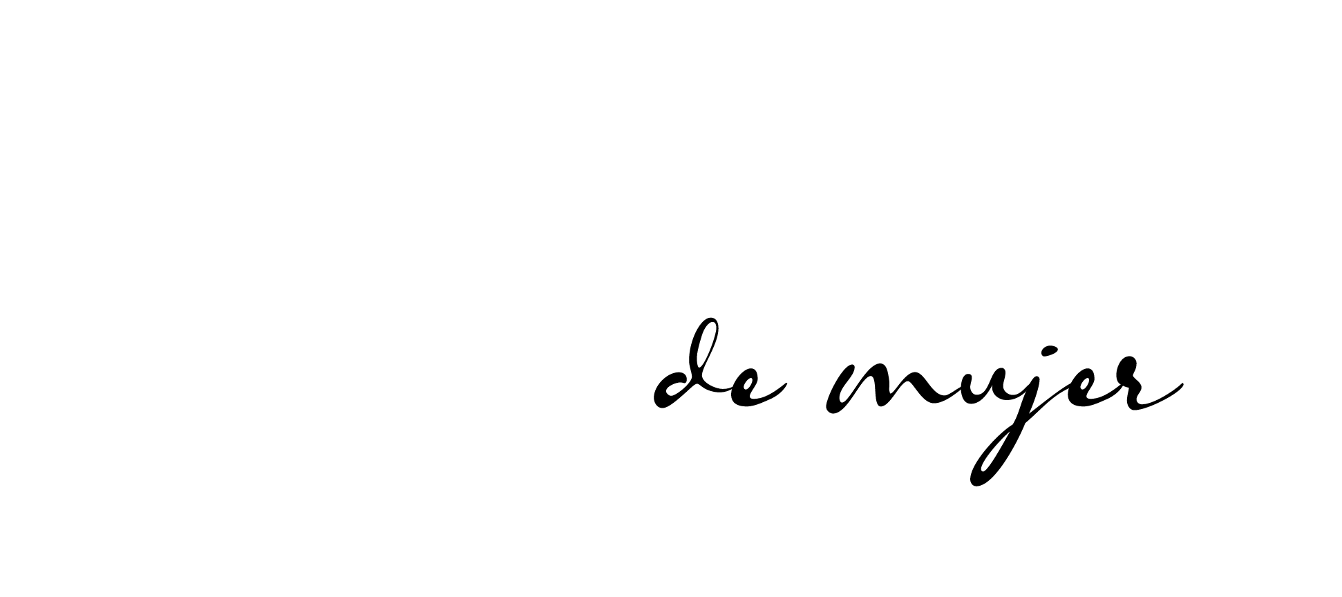 Logo BRISA